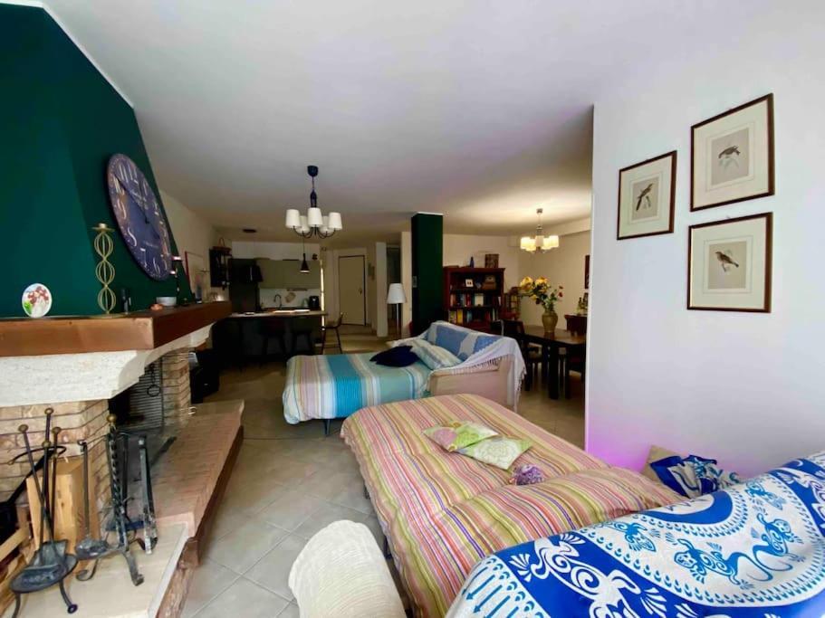 The Wild Lavender Apartment Cecchina Exterior photo