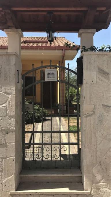 The Wild Lavender Apartment Cecchina Exterior photo